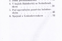 publikace-110e